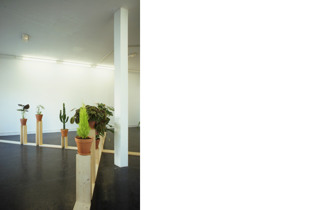 Ruru Kita - 2011 - 7,20 x 7,60 x 1,40 m - wood, plants - GalerieAcdc - Bordeaux - with the support of HandiCapZero and Prairie Sauvage