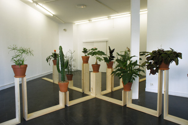 Ruru Kita - 2011 - 7,20 x 7,60 x 1,40 m - wood, plants - GalerieAcdc - Bordeaux - with the support of HandiCapZero and Prairie Sauvage